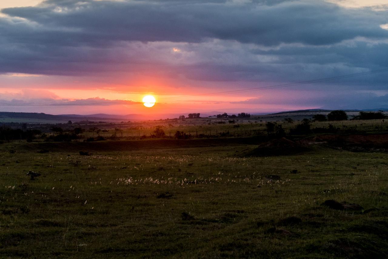 Ikwanitsha Lodge Paterson Bagian luar foto